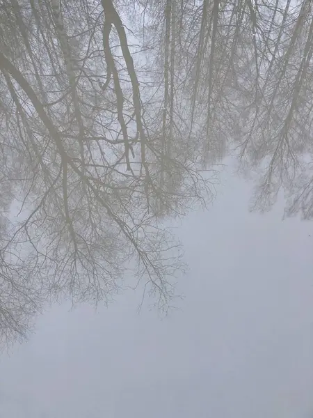 Belle Vue Reflet Des Arbres Dans Eau — Photo