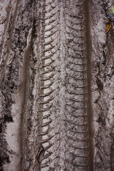 Pista Una Ruota Auto Sulla Strada — Foto Stock