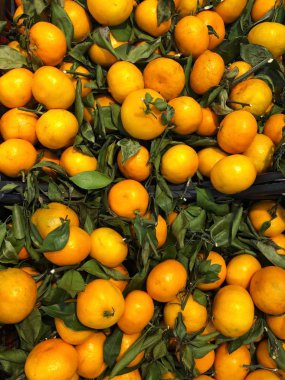 Masada yaprakları olan taze, sulu mandalinalar
