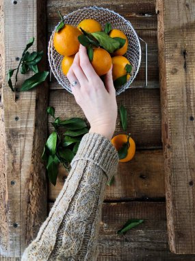 Masada yaprakları olan taze, sulu mandalinalar