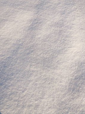 Ormana ilk kar yağan güzel beyaz