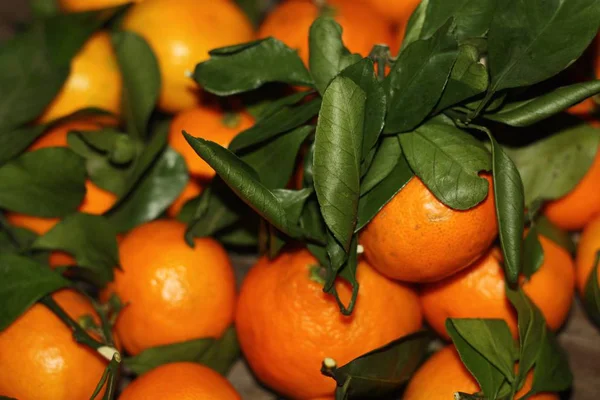 Juicy Fresh Tangerines Leaves Table — Stock Photo, Image