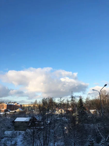 Bela Paisagem Inverno Neve Árvores — Fotografia de Stock