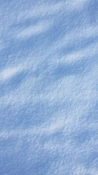 Hermosa Primera Nieve Blanca Bosque — Foto de Stock