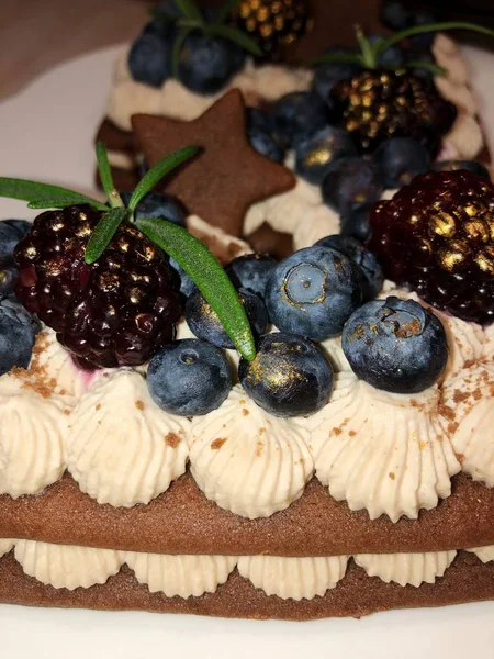 Tort Delicios Ciocolată Cremă Afine — Fotografie, imagine de stoc