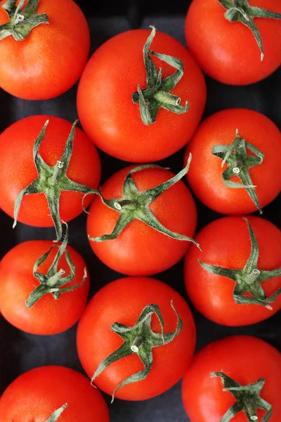 Tomates Rojos Frescos Para Ensalada Vista Cerca —  Fotos de Stock