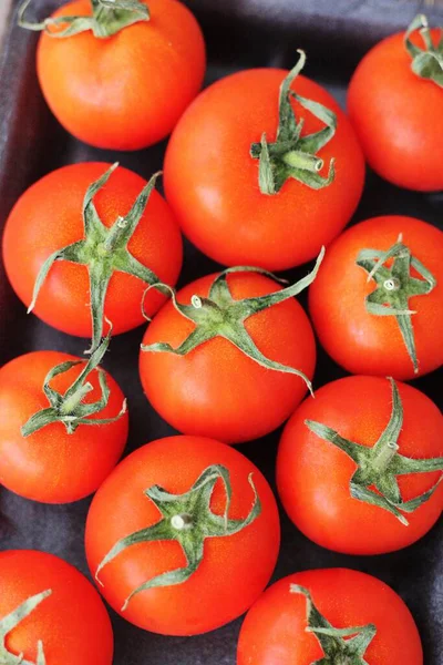 Tomates Rojos Frescos Para Ensalada Vista Cerca —  Fotos de Stock