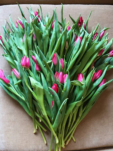 Bouquet Beautiful Pink Tulips Holiday — Stock Photo, Image