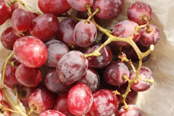 Świeże Czerwone Winogrona Stole Makro — Zdjęcie stockowe