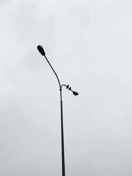 Two Pigeons Sit Street Lamp — Stock Photo, Image