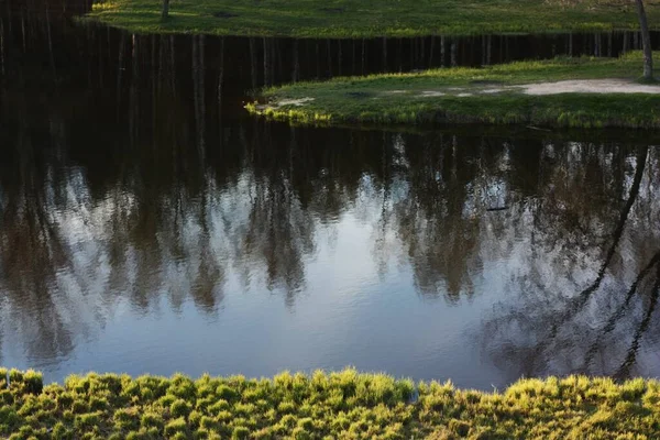 美丽的风景秀丽的湖水和森林中的草 — 图库照片