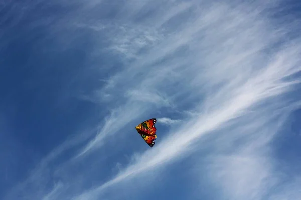 Prachtig Uitzicht Veelkleurige Vlieger Lucht — Stockfoto