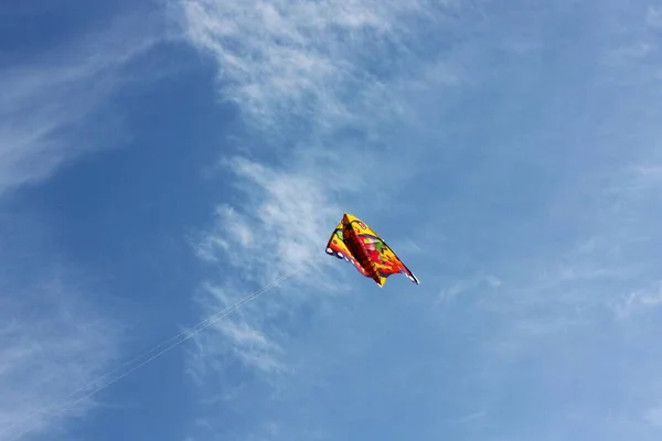 Belle Vue Cerf Volant Multicolore Dans Ciel — Photo