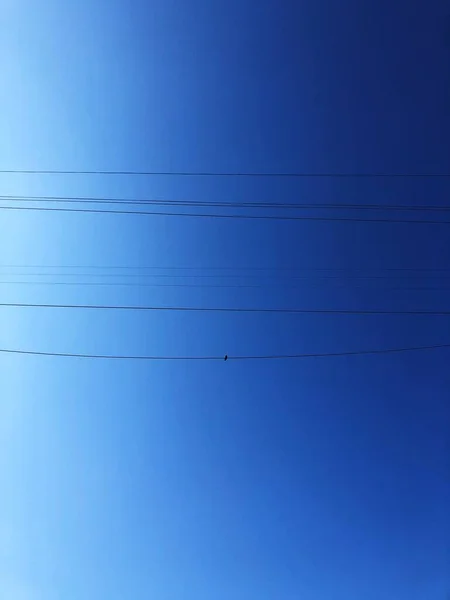 Schöne Aussicht Auf Den Blauen Himmel Und Vögel Auf Dem — Stockfoto