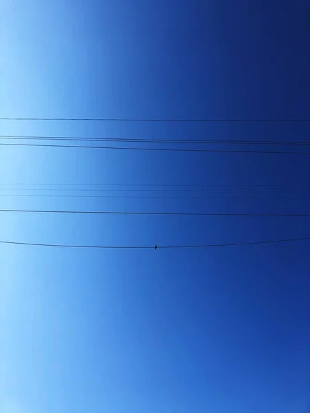 Bella Vista Del Cielo Blu Degli Uccelli Sul Filo — Foto Stock