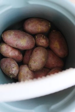 Kova içinde taze kırmızı patates.