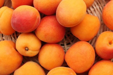 Masada nefis taze kayısılar var. 