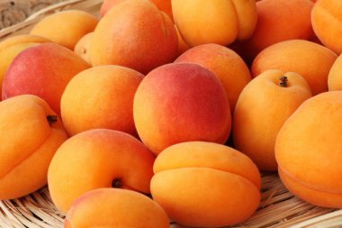 Masada nefis taze kayısılar var.