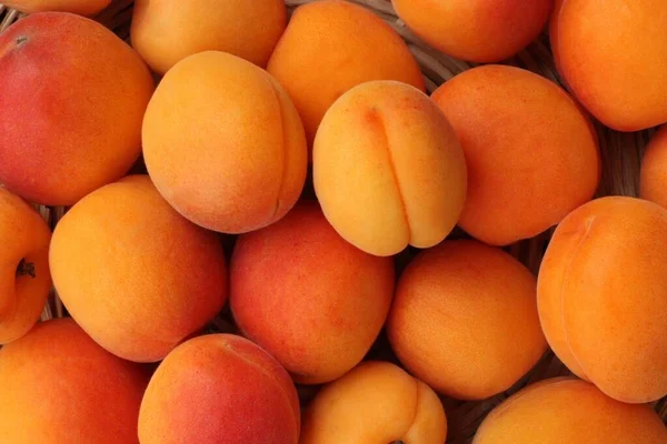 Köstliche Frische Aprikosen Auf Dem Tisch — Stockfoto
