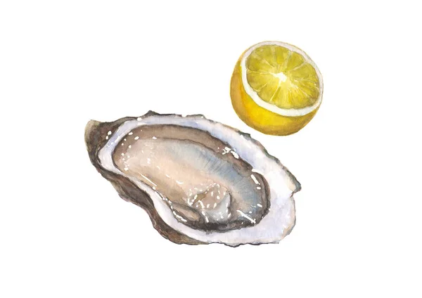 白い背景に分離された水彩牡蠣とレモン — ストック写真