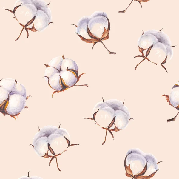 Watercolor cotton flowers seamless pattern on light pink background — Stock Photo, Image