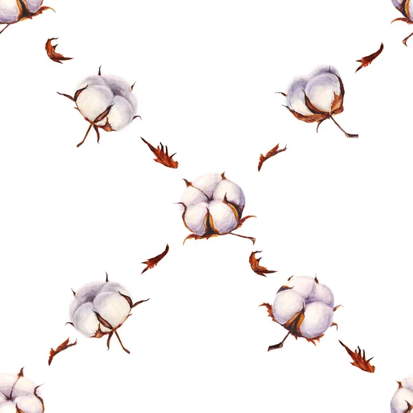 Akwarela bawełny kwiatów wzór na białym tle — Zdjęcie stockowe