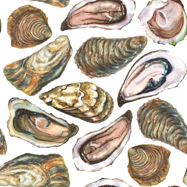 Aquarel handgeschilderde oesters naadloze patroon op witte achtergrond — Stockfoto