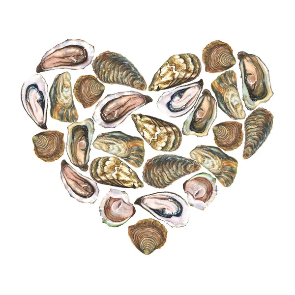 Hart met aquarel oesters op witte achtergrond — Stockfoto