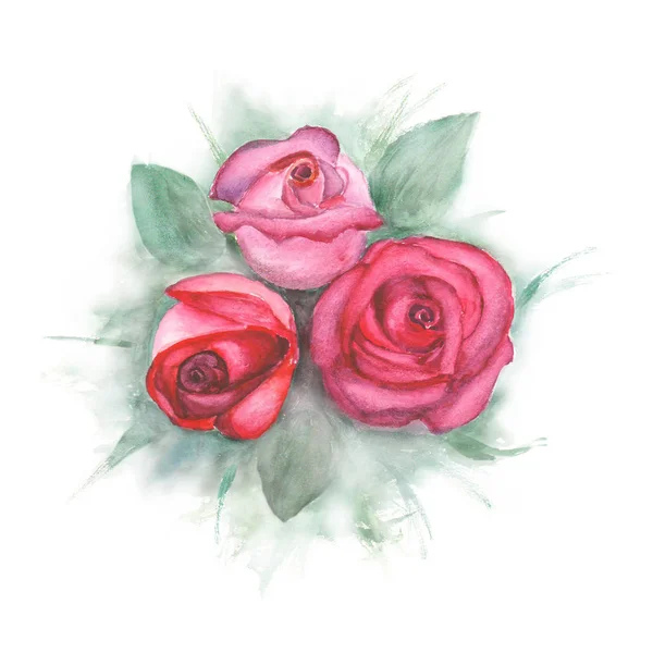 Акварель с розами на белом фоне — стоковое фото