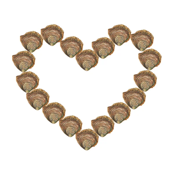 Corazón con ostras de acuarela sobre fondo blanco —  Fotos de Stock