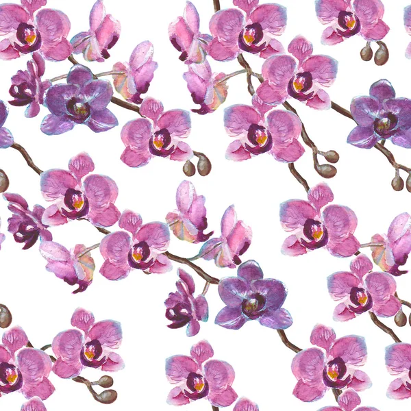 Orquídea acuarela ramas patrón sin costura sobre fondo blanco — Foto de Stock