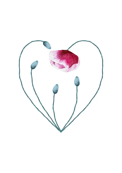 Akvarelu makový květ srdce na bílém podkladu — Stock fotografie