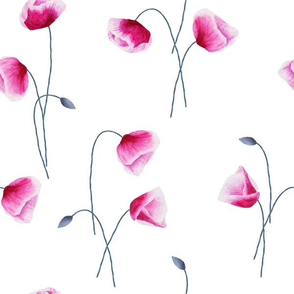 Patrón sin costuras con flores de amapola acuarela y brotes en blanco — Foto de Stock