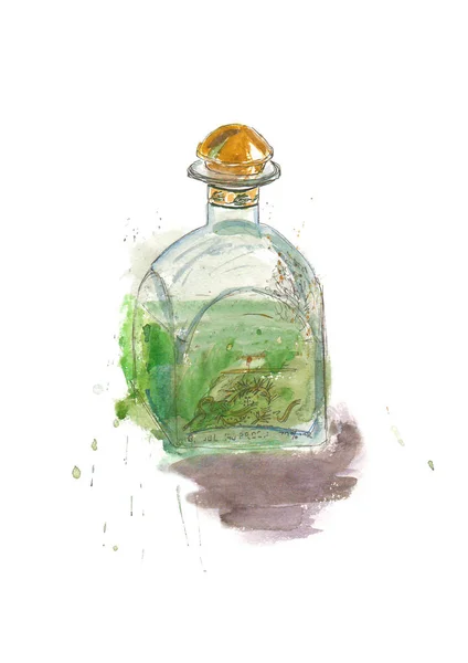 Acquerello sketh bottiglia assenzio. Illustrazione bevanda alcolica — Foto Stock