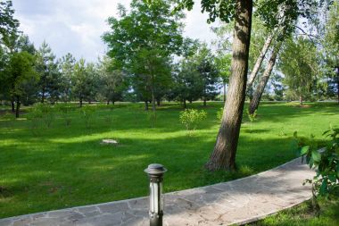Yaz aylarında yeşil manzaralı park. Mezhyhiria, Ukrayna