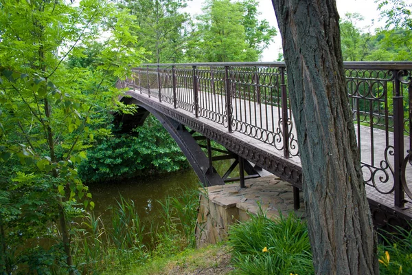 Jembatan pemandangan hijau di atas danau di taman . — Stok Foto