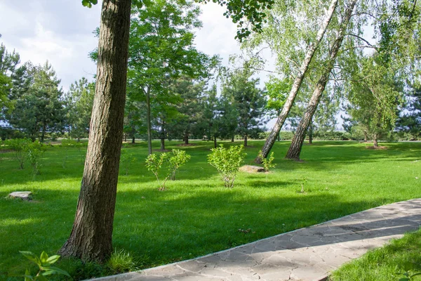Grön naturskön park på sommaren. Mehyhiria, Ukraina — Stockfoto