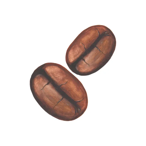 水彩咖啡豆 — 图库矢量图片