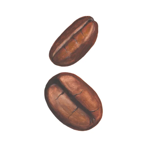 Dos granos de café acuarela — Archivo Imágenes Vectoriales