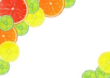 Narenciye meyve dilimleri çerçeve