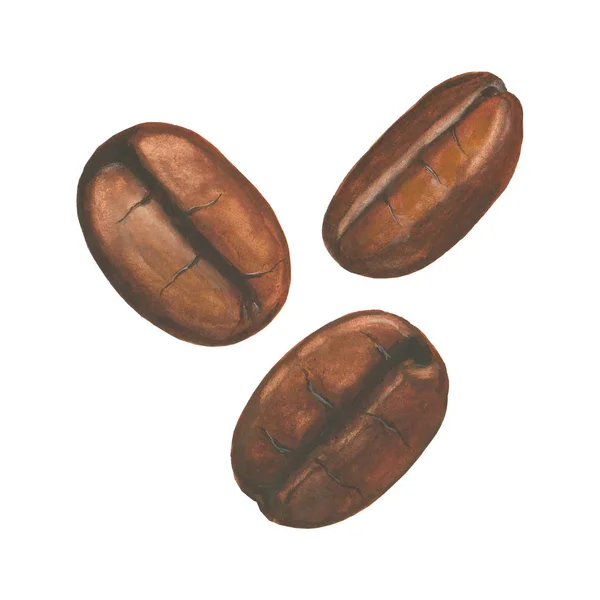 Ilustración de acuarela con granos de café — Vector de stock