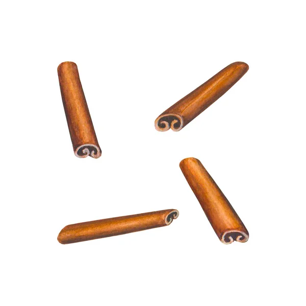 Watercolor cinnamon sticks set — Stock Vector