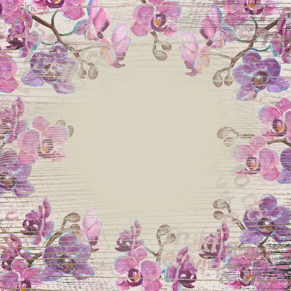 Orkidé grenar bakgrund — Stockfoto