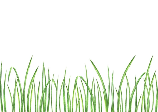 Акварель зелёная — стоковое фото