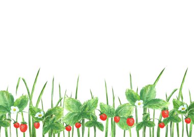 yaz yeşil arka plan