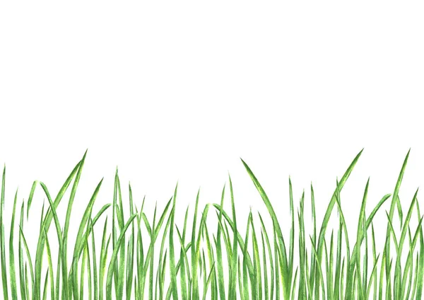 Акварель зелёная — стоковое фото