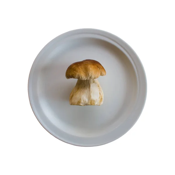 Mushroom on a white plate — Stock Photo, Image