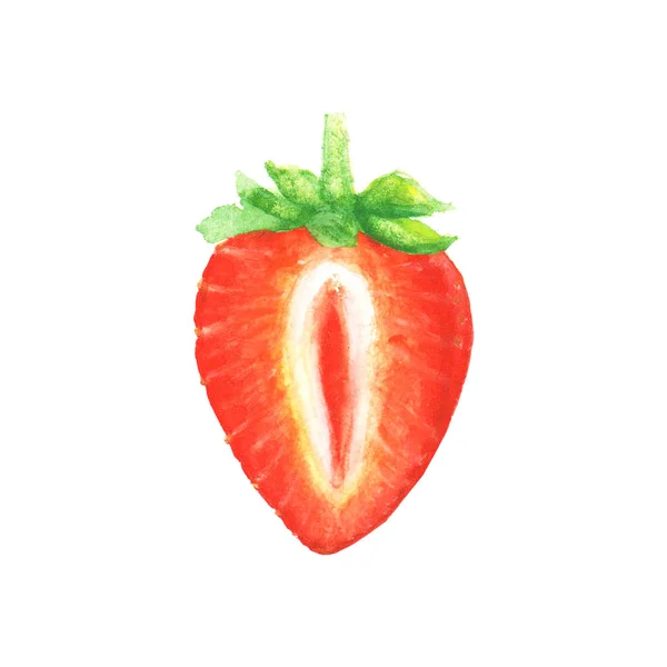 Watercolor half of strawberry — Stock Vector