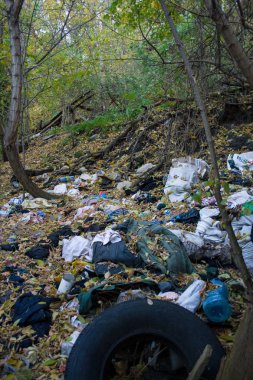 Ağaçları arasında yerli çöp yığını