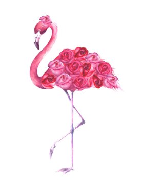 Tropikal egzotik kuş pembe flamingo